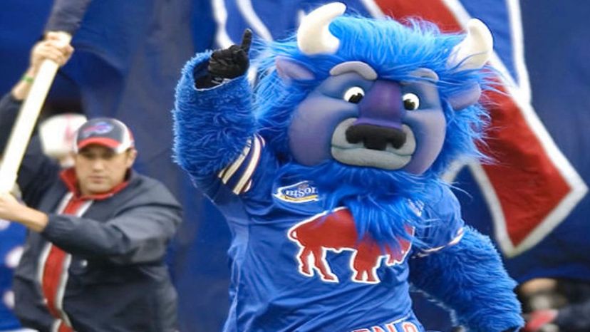 Guess the NFL team by mascot, NFL Team Mascot Challenge, NFL Team Mascot  Quiz