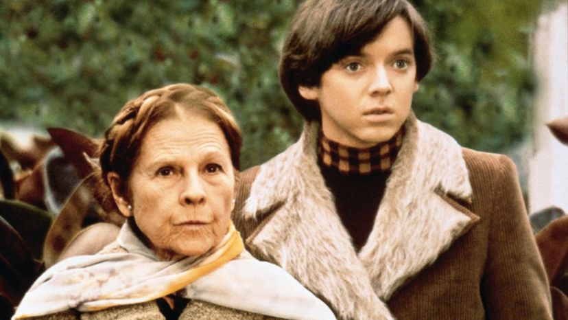 Harold and Maude (Harold and Maude)