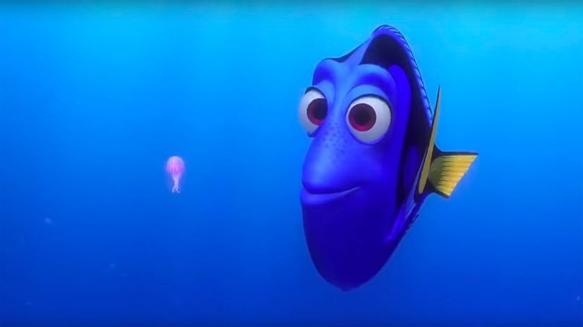 Dory