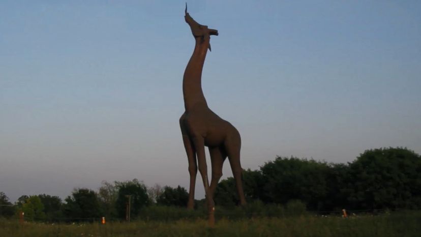 Dallas Zoo Giraffe Statue
