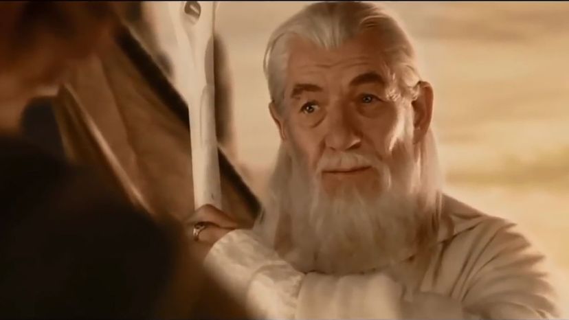 Gandalf (Ian McKellen)