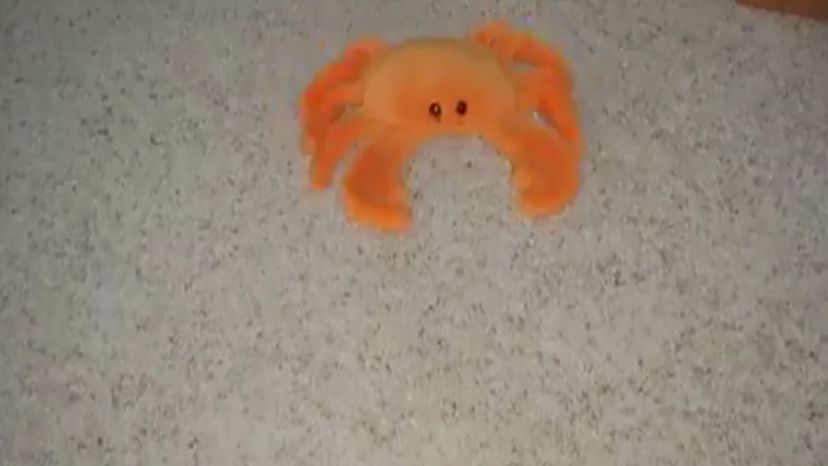 Digger the crab