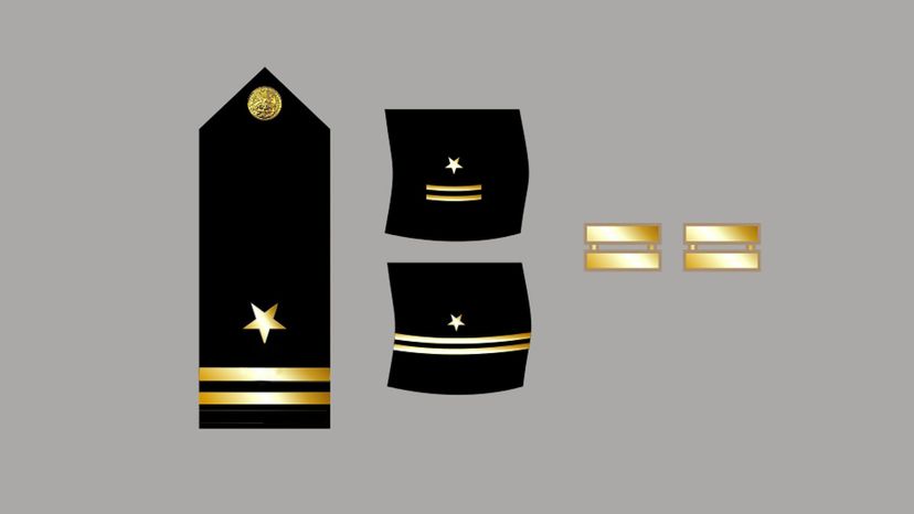 midshipman insignia