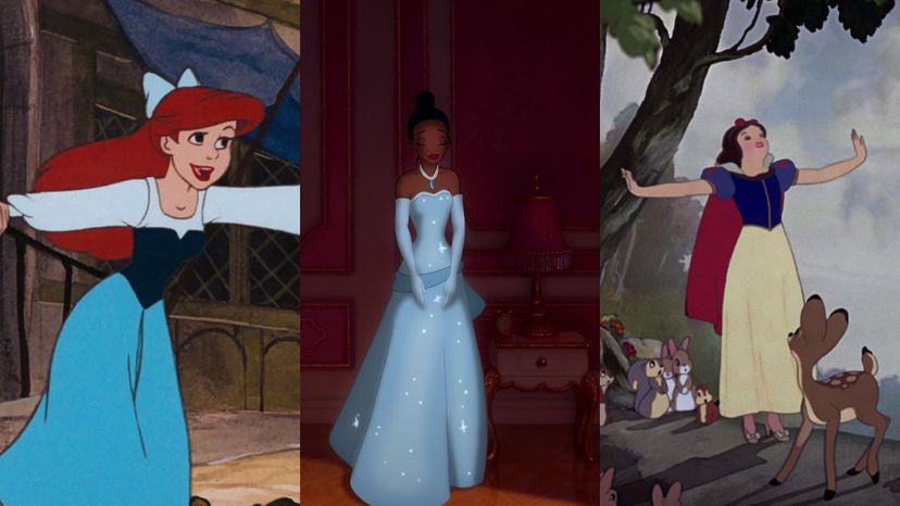 Can You Identify Each of These Disney Princesses from a Close-Up of Her Dress?