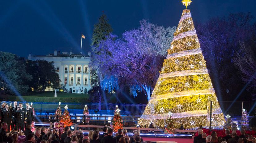 31_White House Christmas