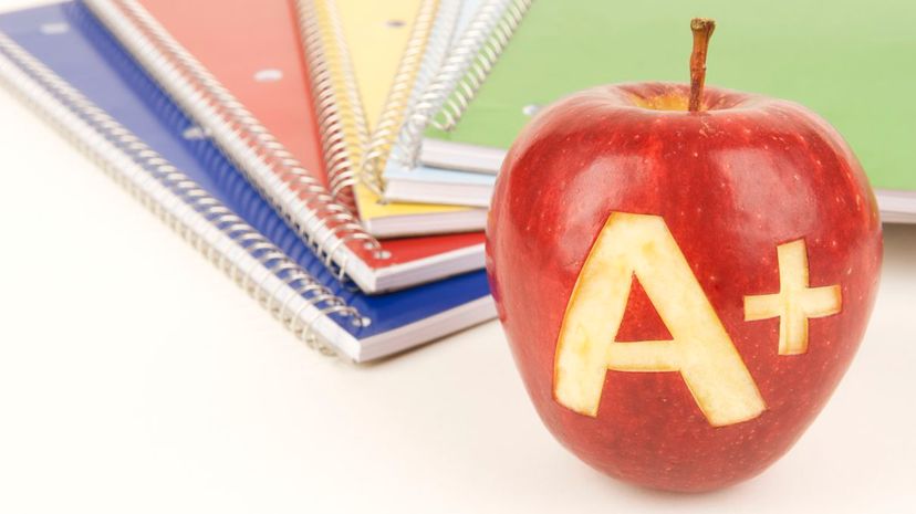 Can You Get an “A” on This Spelling Test for Words That Start With “A”?