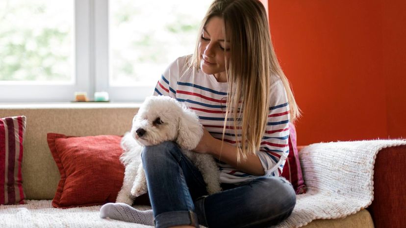 Woman looking at dog