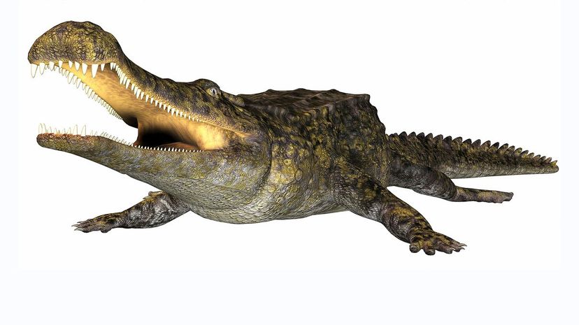 Sarcosuchus