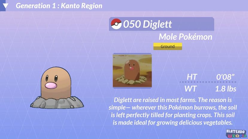 22 diglett