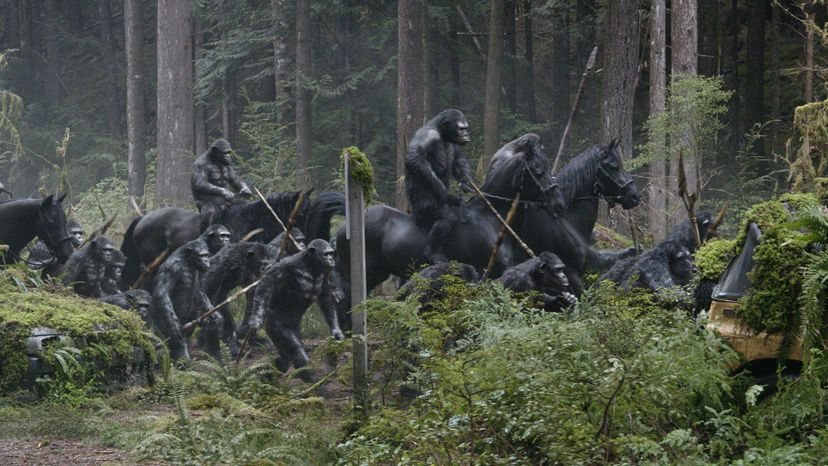 Dawn of the Planet of the Apes (2014)7