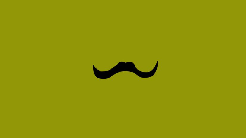 Can You Name the Style of These Movember Mustaches? | HowStuffWorks