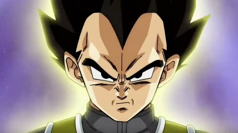 Q14 prince of all Saiyans