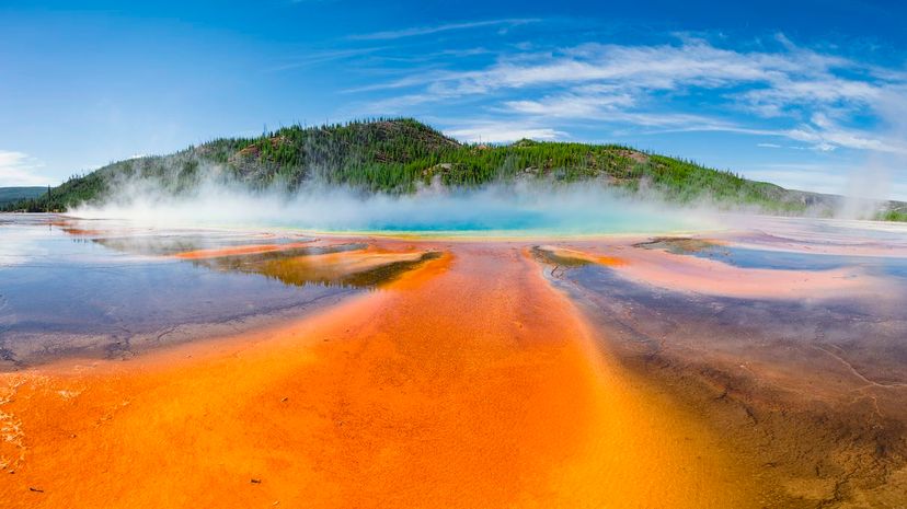 8 yellowstone