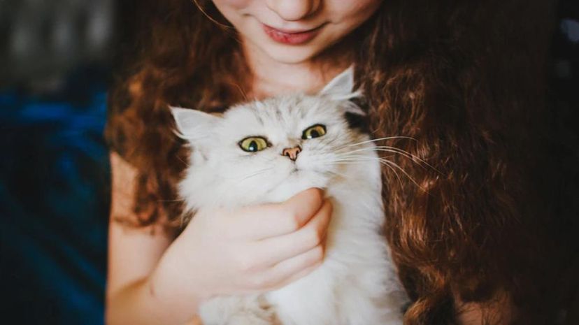 Girl and cat