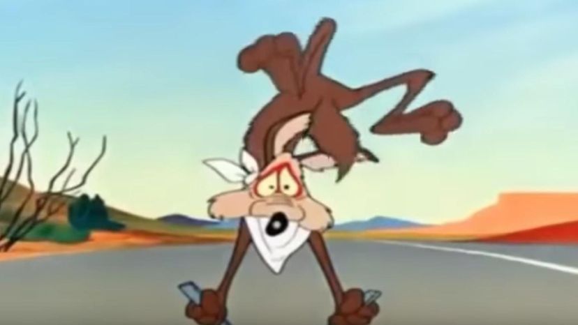 Wile E Coyote