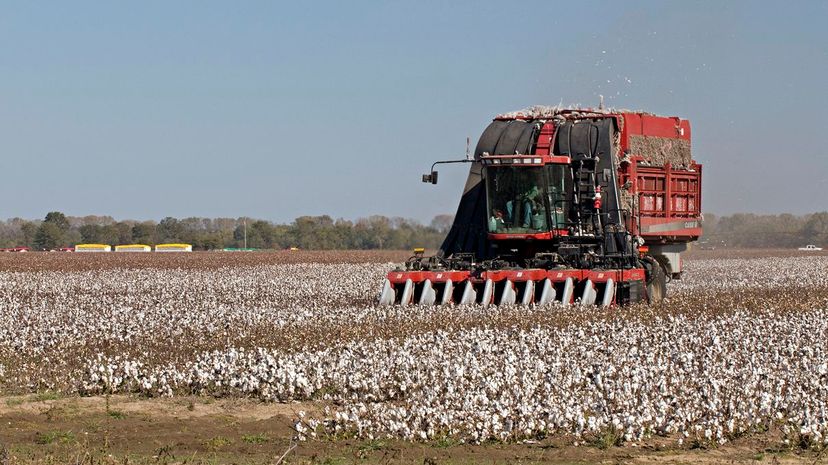 16 Cotton harvester GettyImages-128144755