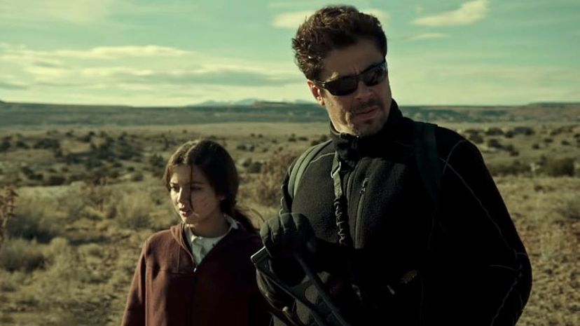 15 Sicario