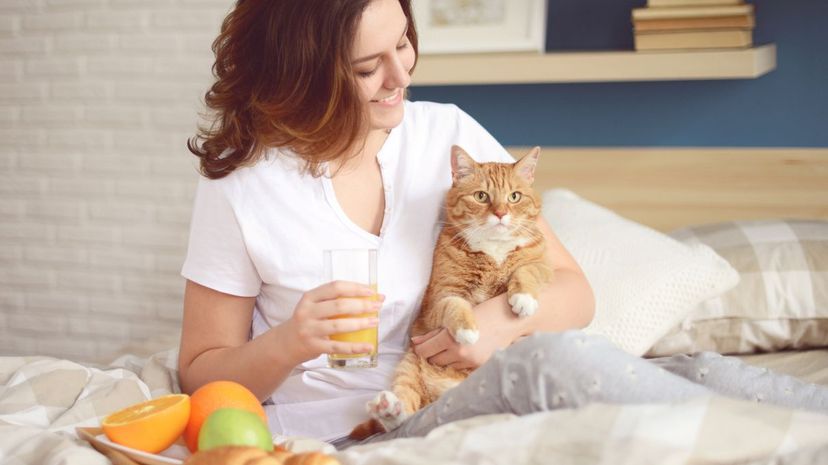 Woman with cat and pulpy fruit