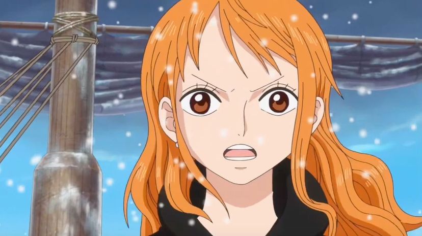 Q33 Straw Hat Pirates