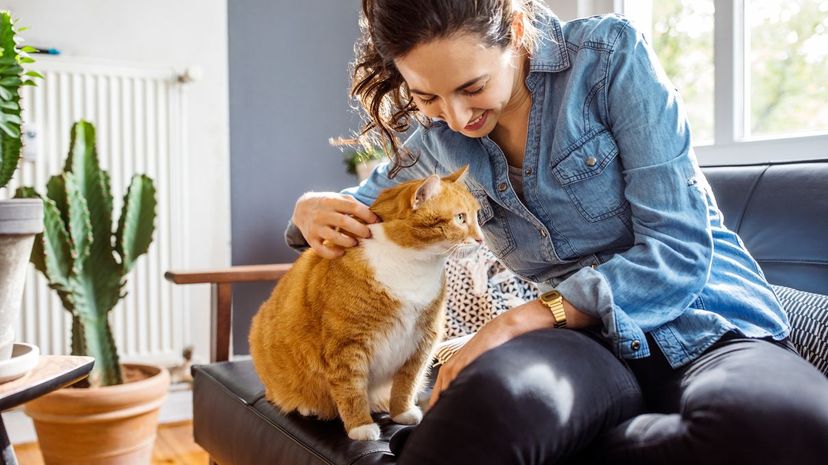 Woman petting cat