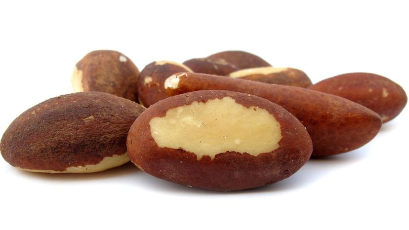 Brazil Nut