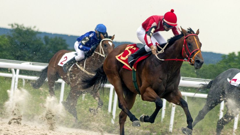 Chasing the Triple Crown: Great horses and racing history quiz