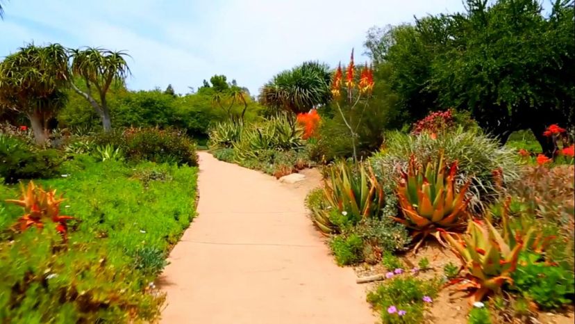 Los Angeles County Arboretum &amp; Botanical Garden