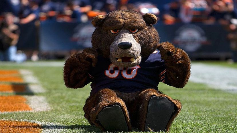 Real World NFL Mascots (Pictures) Quiz - By CDB1986