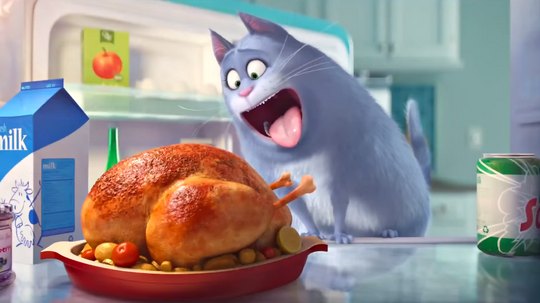 Do you really know 'The Secret Life of Pets'?