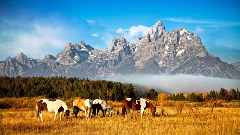 Grand Teton National Park