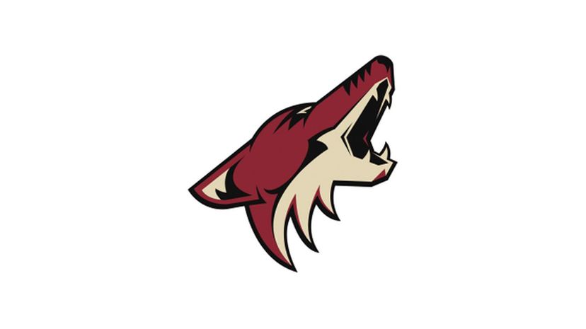 Q 04 Phoenix Coyotes