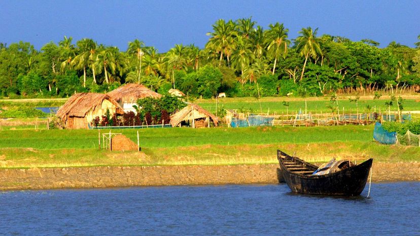 The Sundarbans