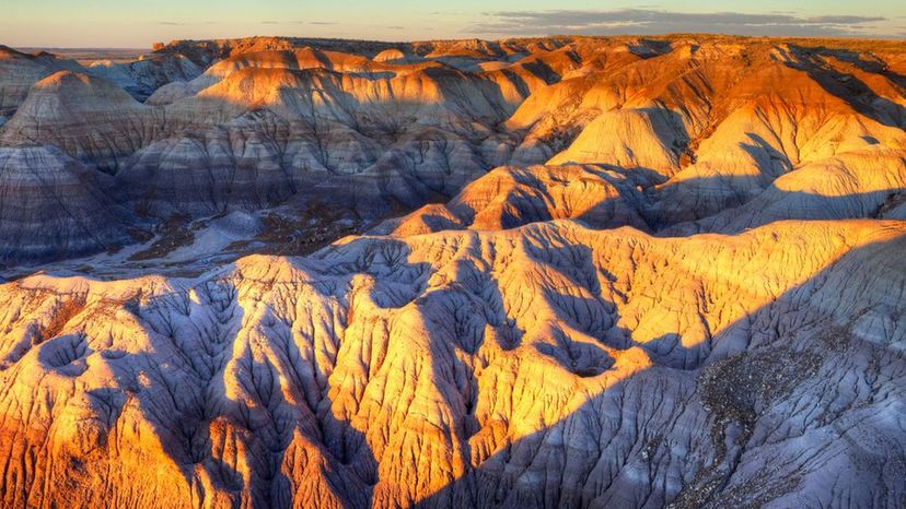 Petrified Forest