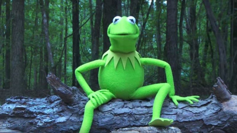 Kermit the Frog