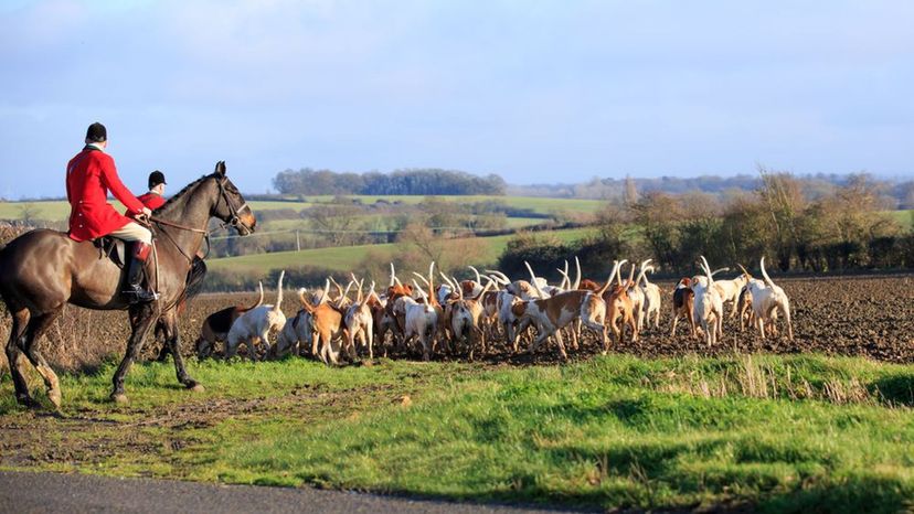 How Much Do You Know About Hunting?