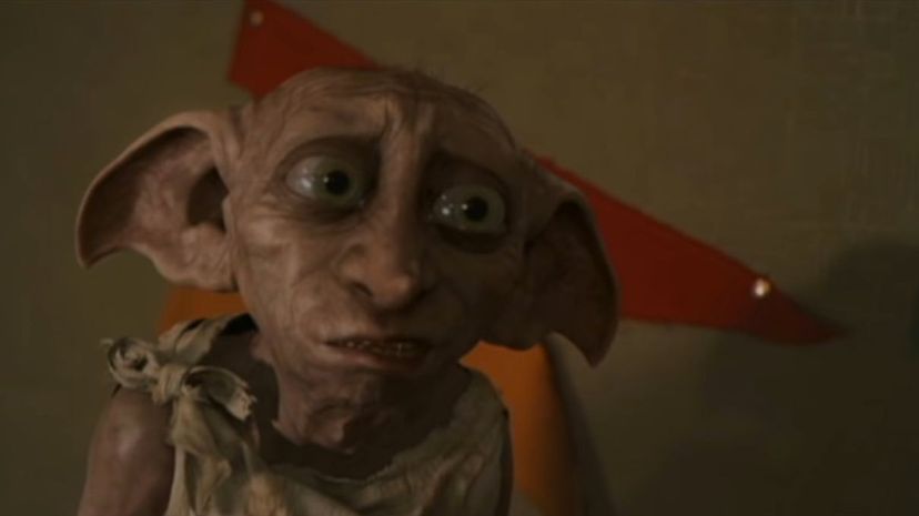 19 Dobby