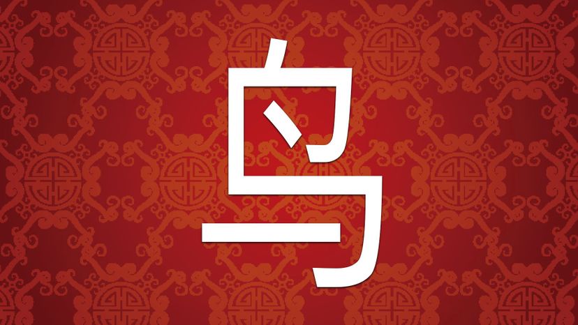Bird Ã©Â¸Å¸ NiaÃŒÅ’o 