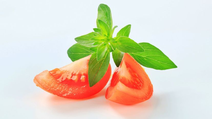 Tomato and Basil