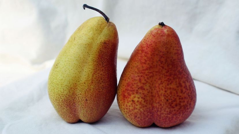 16 pears