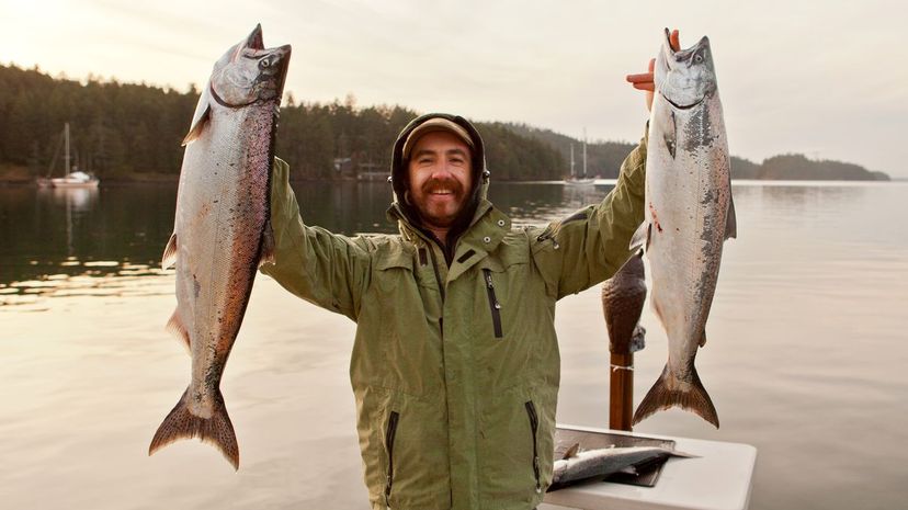 20 _salmon”border=