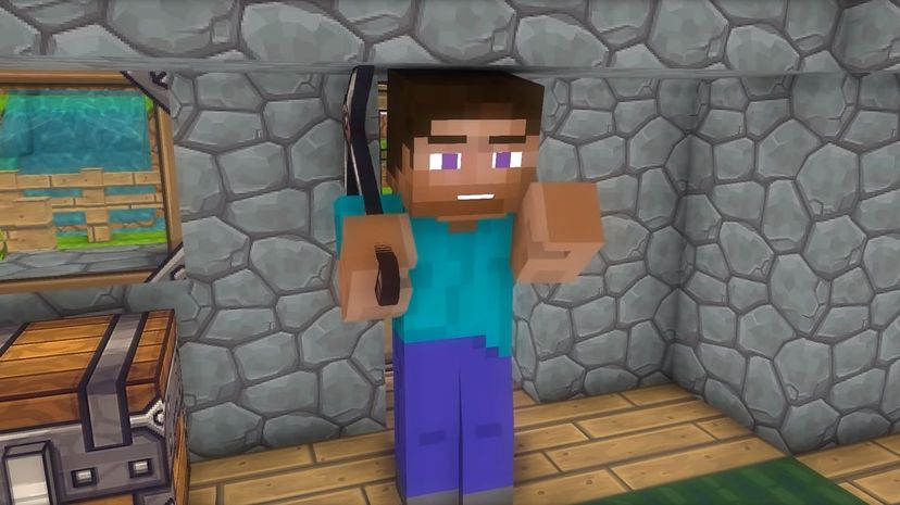 Steve Minecraft