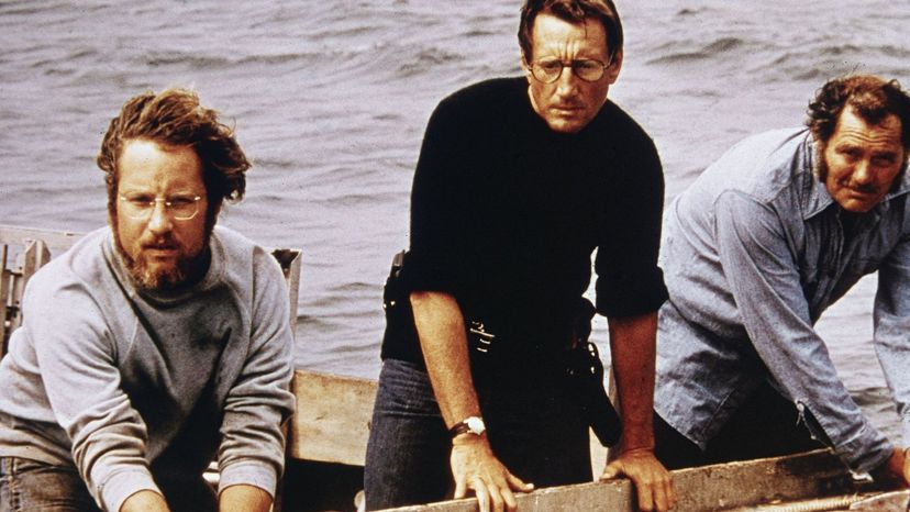 Which Jaws character are you?