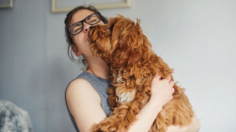 Woman petting dog