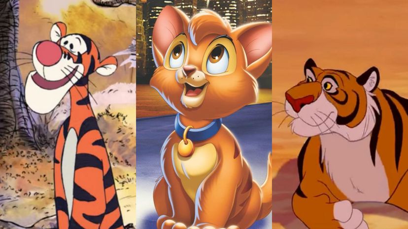 Which Disney Cat are You?