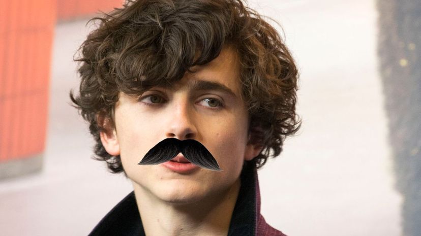 Timothee Chalamet mustache