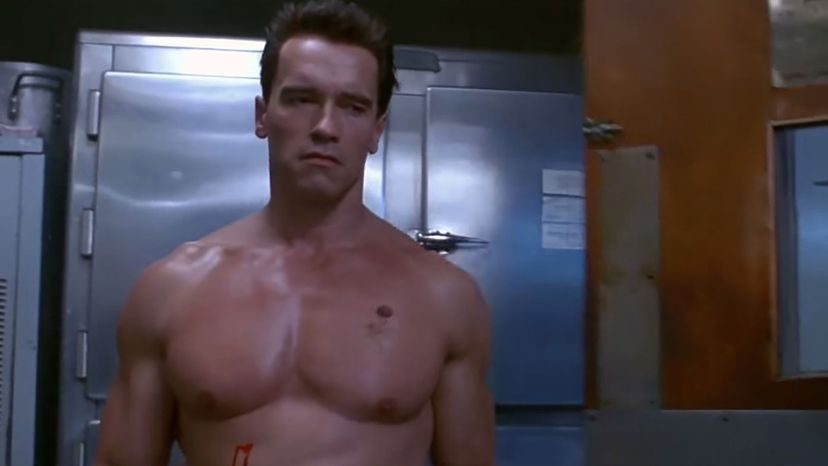 The Terminator (Arnold Schwarzenegger)