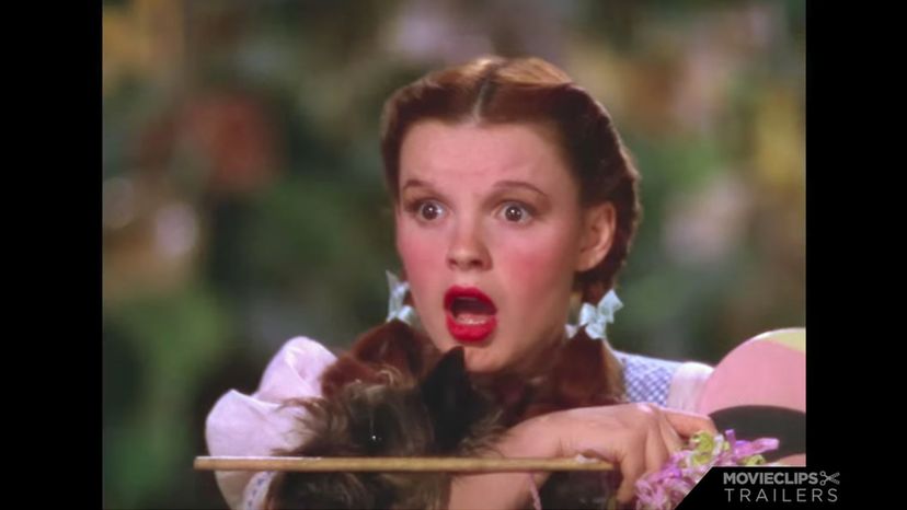 Judy Garland -&gt; Dorothy Gale (The Wizard of Oz)