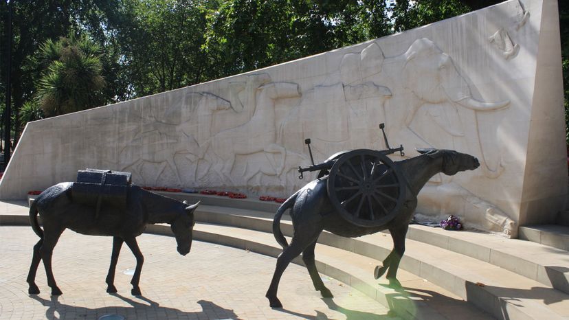 Animals-in-War-Memorial