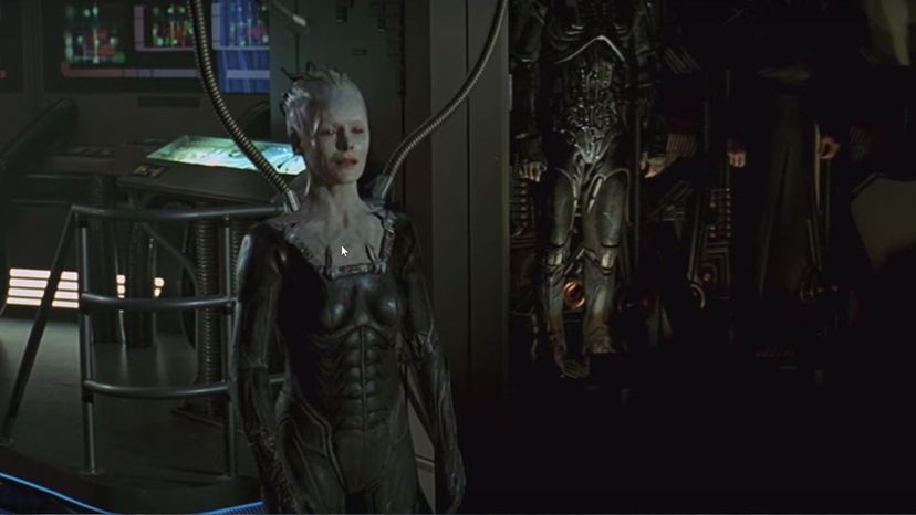 The Borg (Star Trek First Contact)