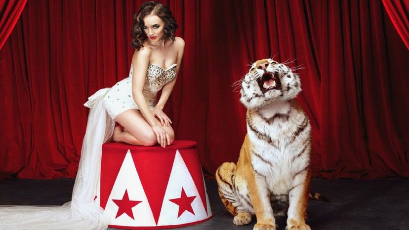 Which Circus Act Is Most Like Your Life?